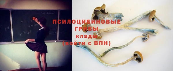 a pvp Беломорск