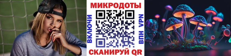 Псилоцибиновые грибы Psilocybine cubensis  закладка  Верхний Тагил 